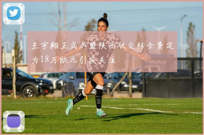 王宇翔正式加盟陕西联合转会费定为18万欧元引发关注